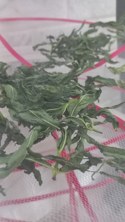 توری خشک کن سبزی و میوه