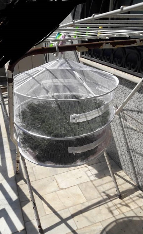 خرید توری خشک کن سبزی