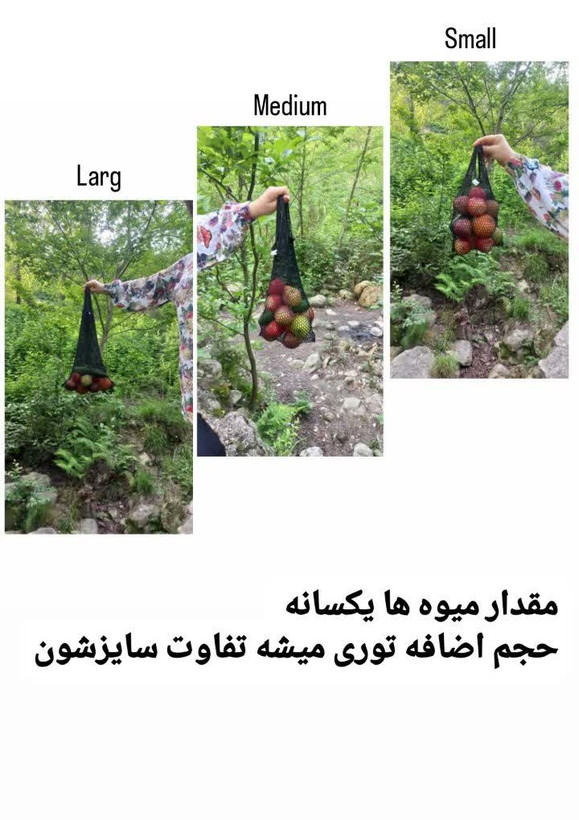 کیسه توری خرید میوه از کجا بخرم | ساک خرید توری